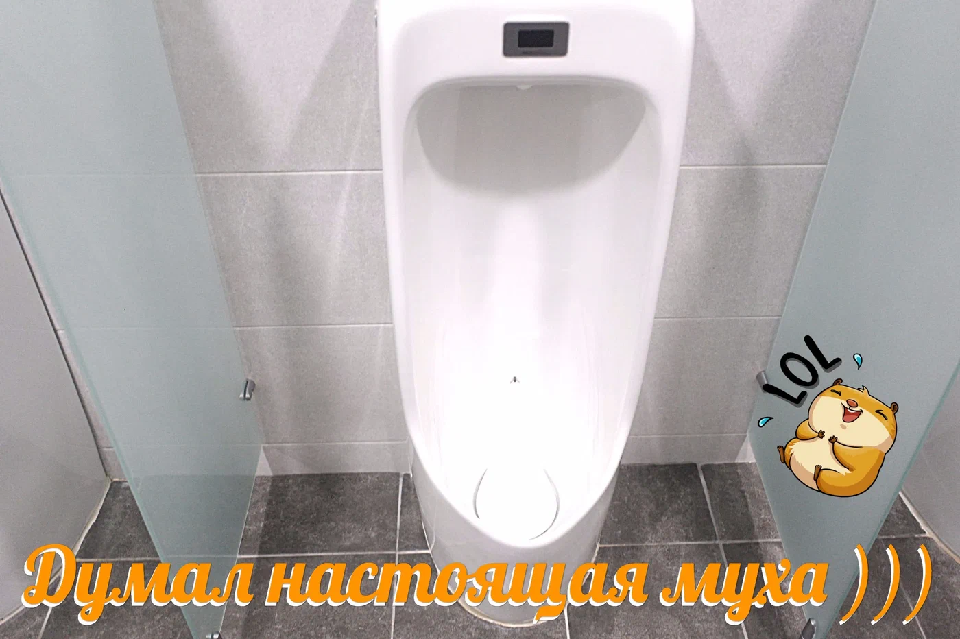 Писсуар в уборной