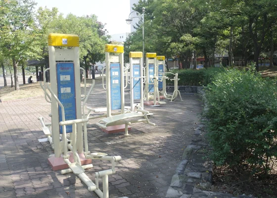 Немного о здоровом образе жизни в Корее