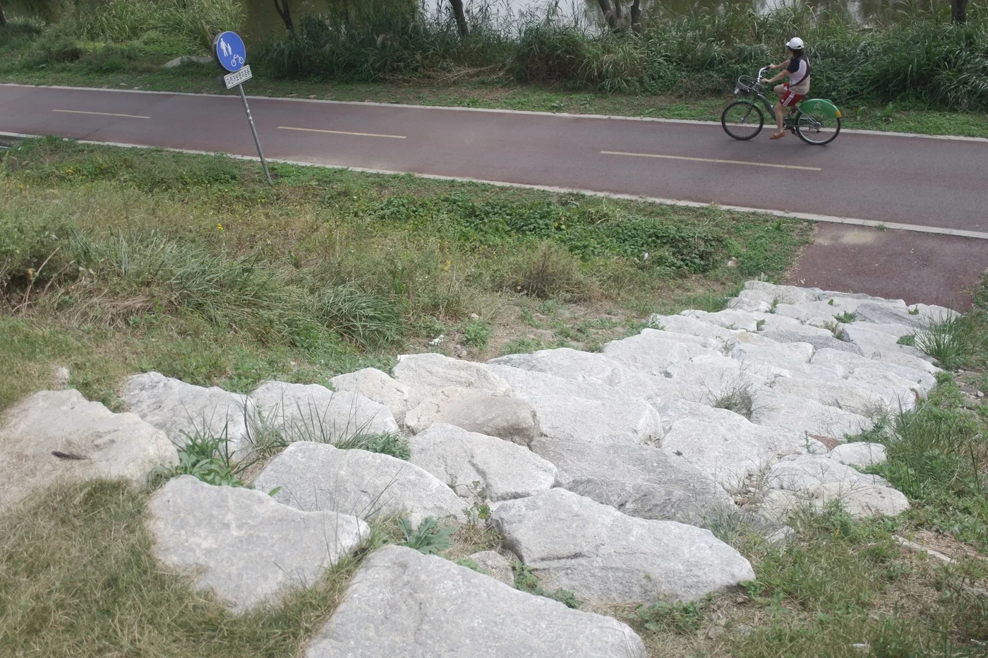 Дорожка и зелёная зона в парке