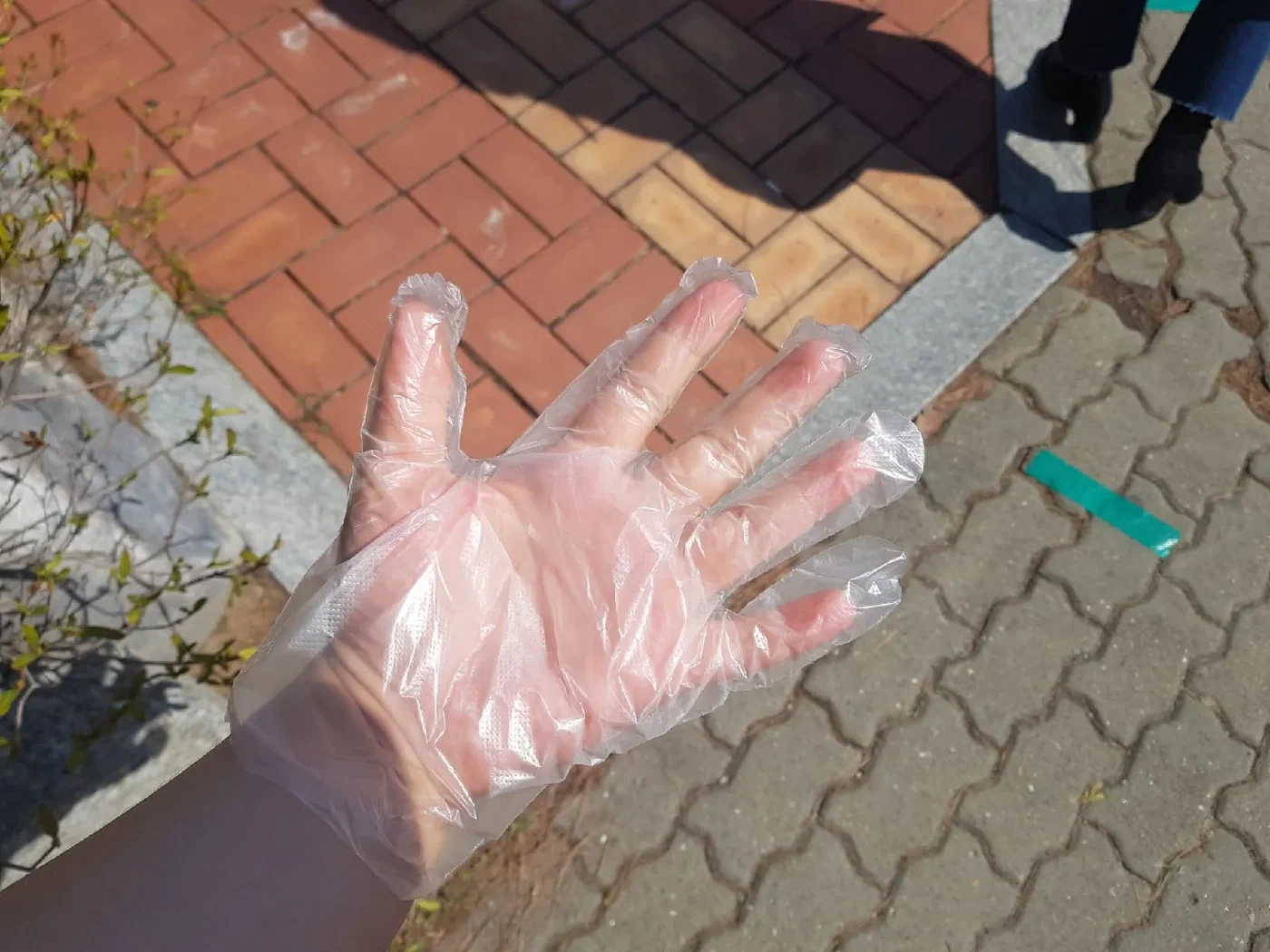 Рука в одноразовой перчатке